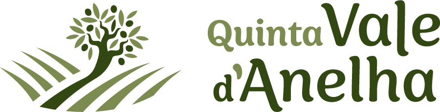 Quinta Vale D'Anelha Logo Dark